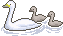 A swan with two babies.