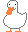 A duck looking at you.